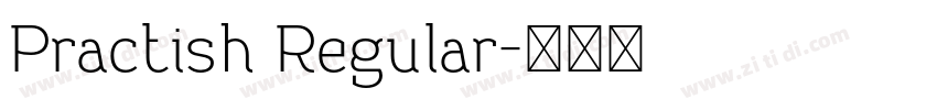 Practish Regular字体转换
